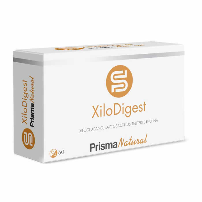 8436582882086 Prisma Natural Xilodigest 60 Caps - Afbeelding 1