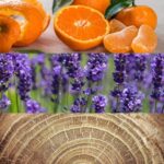 Calvin Klein Obsession Man Deodorant - 75g - Afbeelding 5