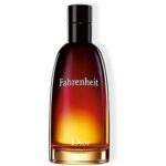 Dior (Christian Dior) Fahrenheit EDT M 100 ml - Afbeelding 2