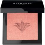 Stendhal Illuminating Blush 300 Rose Jaipur 5.5g