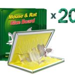 Maxenza Muizen Lijmplanken – Lijmplaat Muizenval – Muizenvallen voor binnen – 20 stuks – 100% pakkans