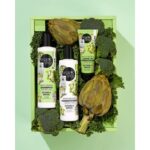 Organic Shop Artichoke Moisturizing Champu Cabello Seco 280ml - Afbeelding 3