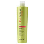 Inebrya Energy Shampoo 300 ml