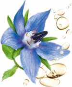 Guhl nature repair shampoo bar - 75 gr - Afbeelding 2