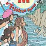 De tsjakke boems - Boek