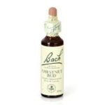 Bach 07 Chestnut Bud 20ml