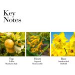 Elizabeth Arden Sunflowers Sunrise Eau De Toilette 100ml Spray - Afbeelding 3