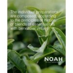 Noah Style Cera Moldeadora 50ml - Afbeelding 3