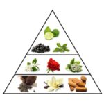 Al Haramain Aventure Gold 6.7 Edp L - Afbeelding 3