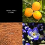 John Varvatos Artisan EDT M 125 ml - Afbeelding 3