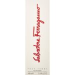 Salvatore Ferragamo pour Femme EDP W 100 ml - Afbeelding 2
