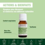 PranarOm Essential Oil #eucalyptus Radiata 10 Ml - Afbeelding 2