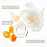 Noa 1.0 Edt L - Afbeelding 2