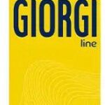 Styling Mousse Giorgi Maxi Nº4 Volumising (250 ml) - Afbeelding 4
