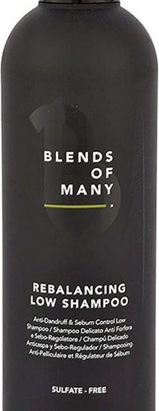 Alfaparf - Blends Of Many - Rebalancing Low Shampoo - 250 ml
