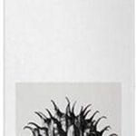 Deodorant Spray Solo Loewe (100 ml) - Afbeelding 4