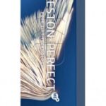 Wella Professionals Koleston Perfect Me+ - Haarverf - 12/89 Special Blonde - 60ml