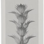 LOEWE 001 Man Eau de Parfum 50ml - Afbeelding 2