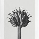 Loewe - Herenparfum - Solo Atlas - Eau de parfum 100 ml - Afbeelding 4