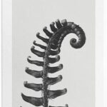 Loewe - Herenparfum - Pour Homme - Eau de toilette 100 ml - Afbeelding 3