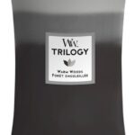 WoodWick Hourglass Large Trilogy Geurkaars - Warm Woods