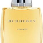 Burberry for Men - 100 ml - eau de toilette spray - herenparfum