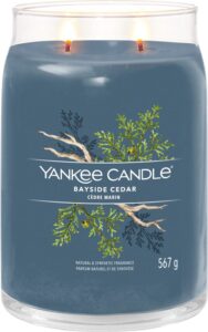 Yankee Candle - Bayside Cedar Signature Large Jar - Afbeelding 3