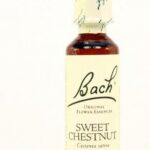 Bach 30 Sweet Chestnut