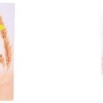 Voedend Haarmasker Wheat Germ Salerm (200 ml)