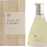 Loewe Agua Loewe - 100 ml - Eau de toilette