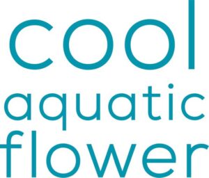 Mexx Ice Touch Woman BOR W 250 ml - Afbeelding 3