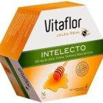 Vitaflor Jalea Real Intelecto 20 Ampules
