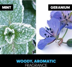 Adidas Ice Dive - 100ml - Eau de toilette - Afbeelding 4