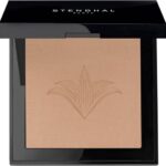 Stendhal Perfecting Compact Powder 120 Sable 9g