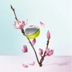 DKNY Be Delicious 30 ml - Eau de Parfum - Damesparfum - Afbeelding 17