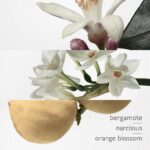 Hermes - Eau de Narcisse Bleu - Eau De Cologne - 100ML - Afbeelding 2