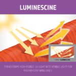 GOLDWELL Dualsenses Blondes  Highlights Anti Yellow Shampoo szampon do w os w blond neutralizuj cy    ty odcie  250ml - Afbeelding 4