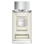Lalique Hommage à L'Homme - 50 ml - eau de toilette spray - herenparfum - Afbeelding 4