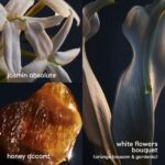 Paco Rabanne Lady Million Giftset 80 ml Eau de Parfum Spray + 20 ml Eau de Parfum Tasspray - Damesparfum - Afbeelding 4