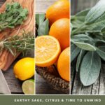 Yankee Candle - Sage & Citrus Signature Medium Jar - Afbeelding 4