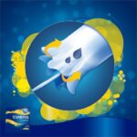 Tampax Compak Regular Tampons - Met Inbrenghuls - 36 stuks - Afbeelding 4