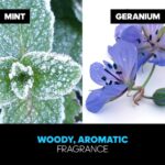 Adidas Ice Dive EDT M 50 ml - Afbeelding 3