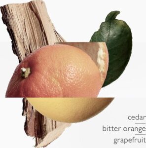 Hermès Terre D'Hermès Eau Très Fraiche - 200 ml Eau de Toilette - Afbeelding 2