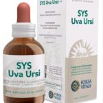 El Natural Eucalipto 160g Trociscos