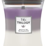 WoodWick Trilogy Hourglass Medium - Amethyst Sky