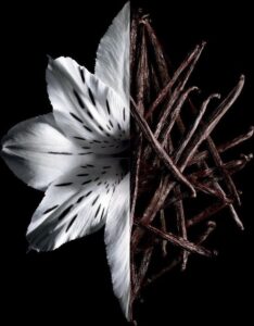 Givenchy Linterdit Intense Ep 80 Vap - Afbeelding 4