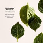 Shiseido Huidverzorging Future Solution Lx Total Protective Cream Spf20 Creme Anti aging 50ml - Afbeelding 3