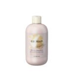 Ice Cream Argan Age Pro-Age Shampoo 300ml