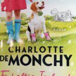 Enkeltje Ierland - Boek