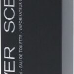 Jacques Bogart Silver Scent EDT M 100 ml - Afbeelding 3